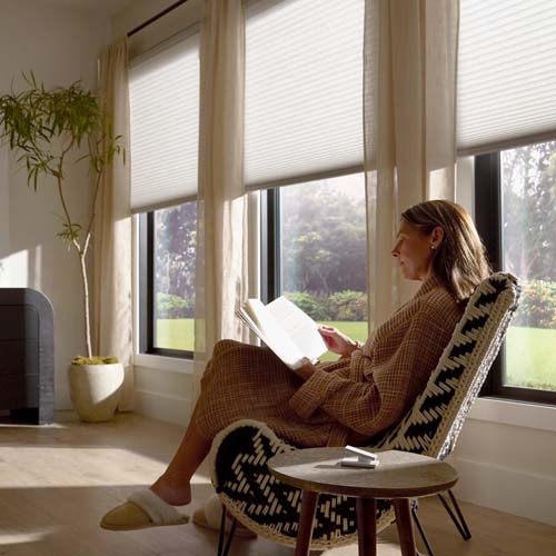 Lutron Serena Smart Shades